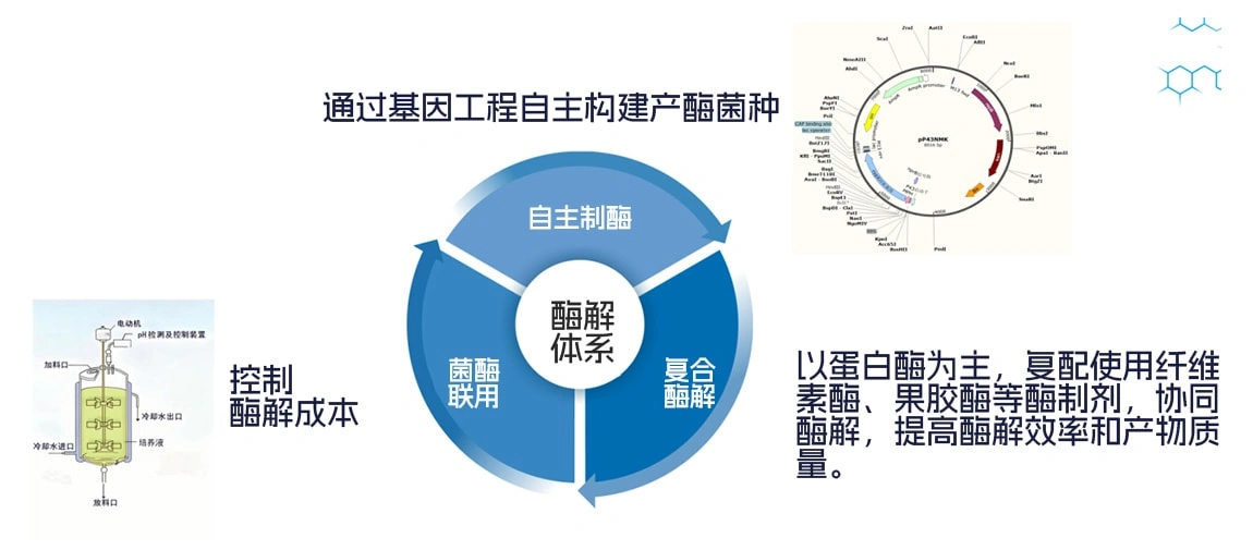 Raw Material Extraction Process