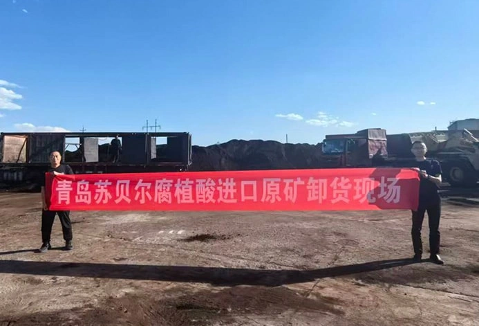 为了收取最优原料,收集并检测了514个国内外优秀产区煤样