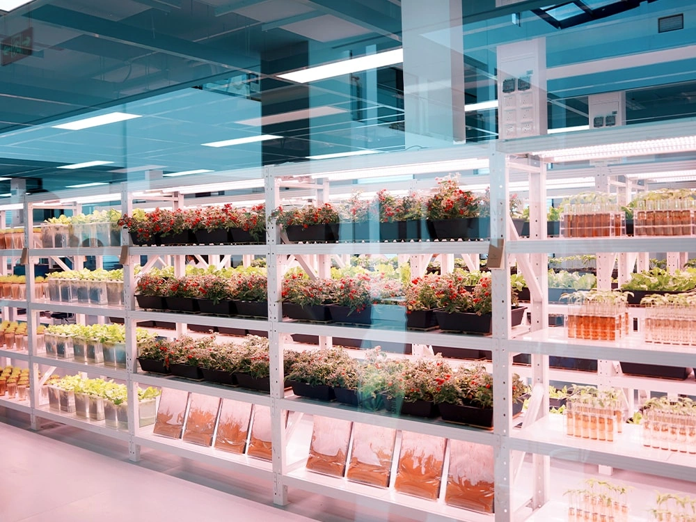 PHI植物健康研究院