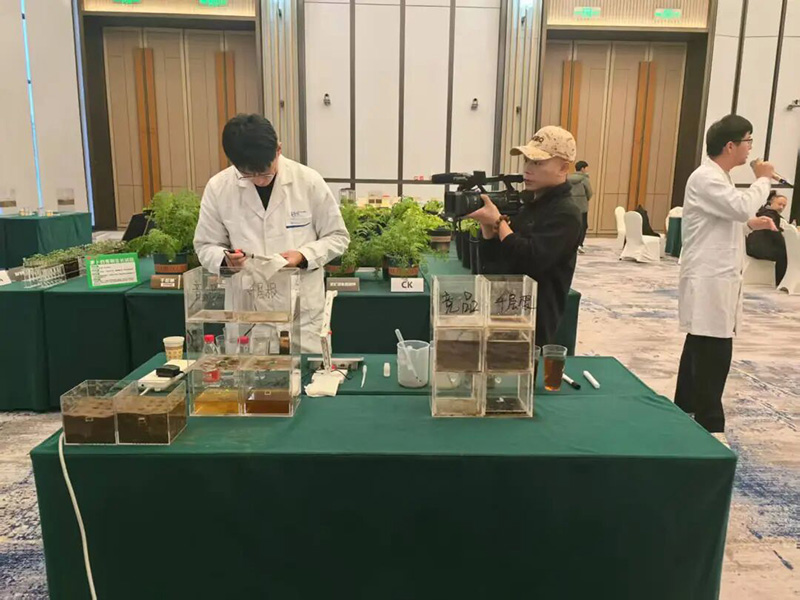 GreatRoot Supports a Bountiful Potato Harvest – Sobel & Nongzhilian Join Forces to Withstand the Winter