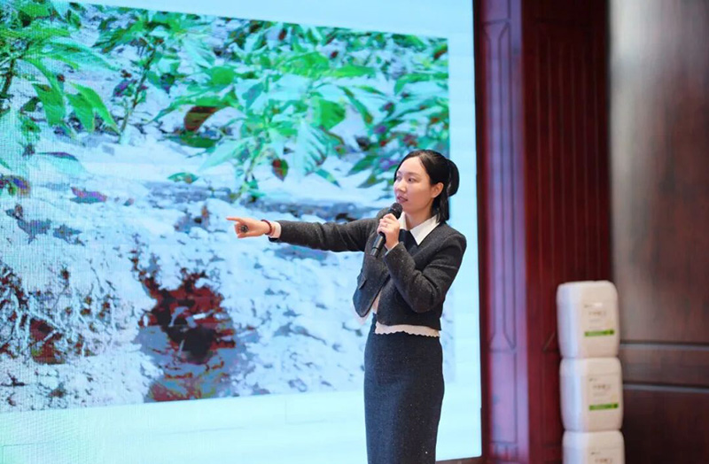 Newly Upgraded GreatRoot – Supporting the 3rd Xinjiang Crop Harvest Festival