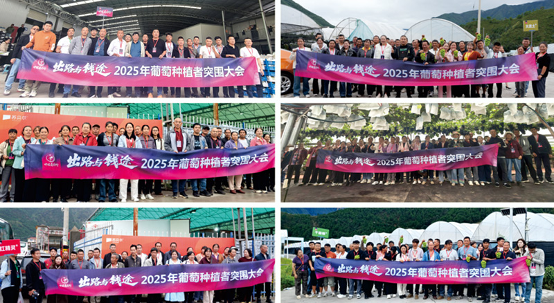 Breakthrough! – Sparks Fly at the 2025 Grape Growers Conference as ‘Solutions & Profitability’ Take Center Stage, Growers Call It Truly Refreshing