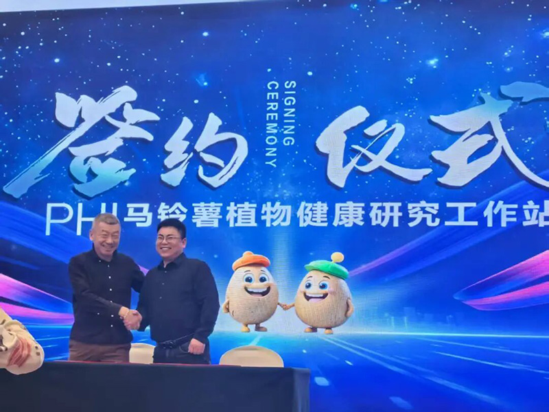 GreatRoot Supports a Bountiful Potato Harvest – Sobel & Nongzhilian Join Forces to Withstand the Winter