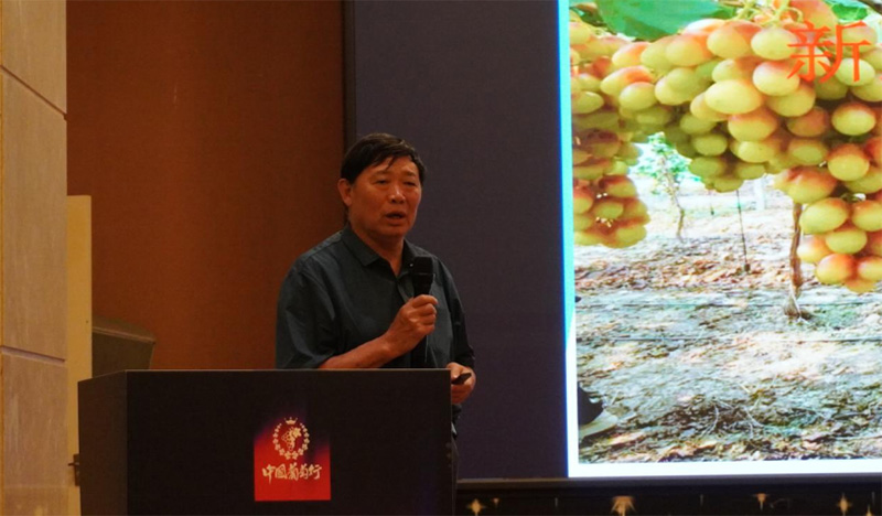 Breakthrough! – Sparks Fly at the 2025 Grape Growers Conference as ‘Solutions & Profitability’ Take Center Stage, Growers Call It Truly Refreshing