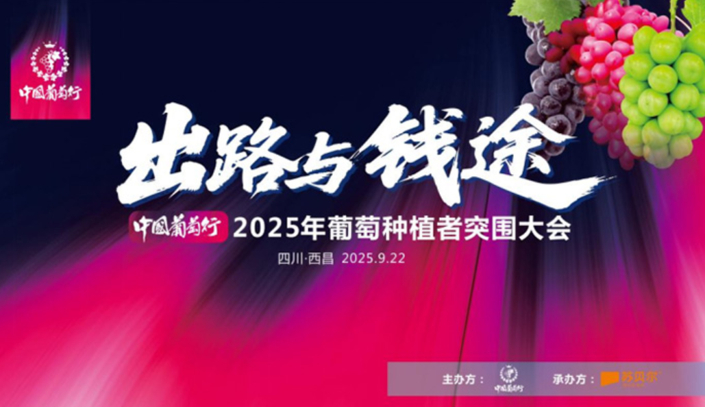 突围！突围！2025 葡萄种植者大会现场 “出路与钱途” 碰撞火花，种植人直呼 “解渴”