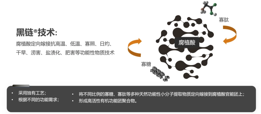 千层根产品特性