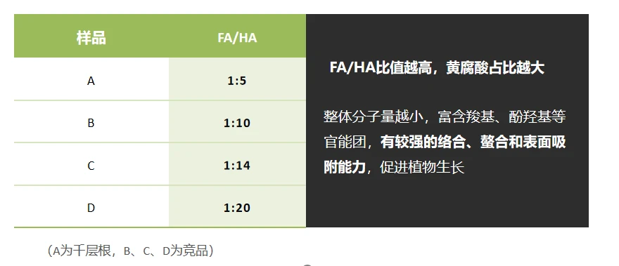 千层根产品特性