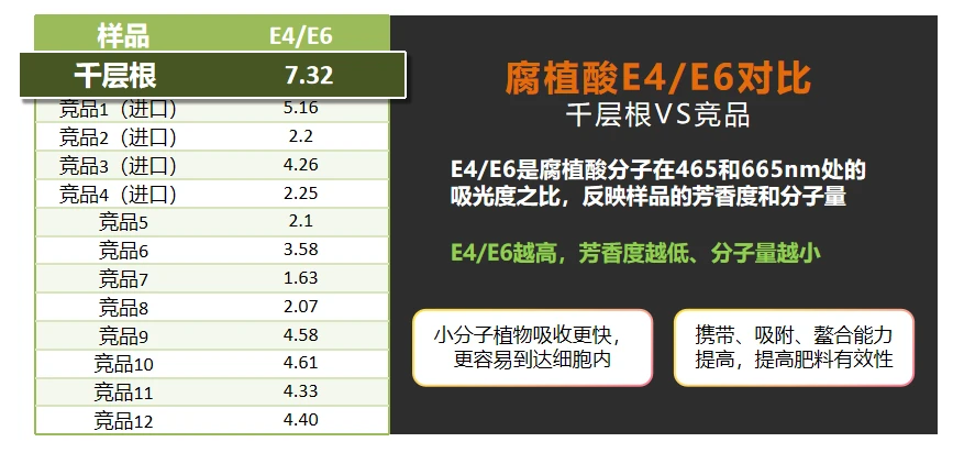 千层根产品特性