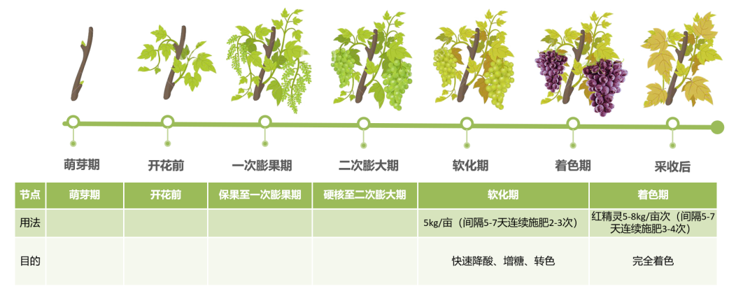 使用技术信息