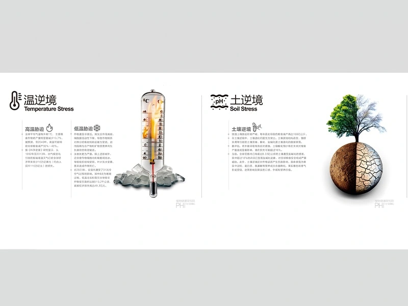 展会