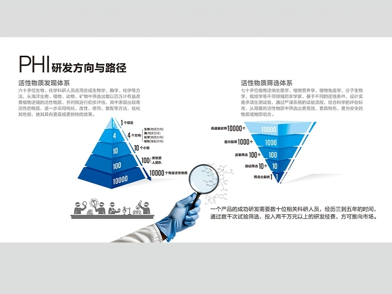 展会